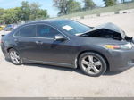 2010 Acura Tsx   Gray vin: JH4CU2F69AC022358