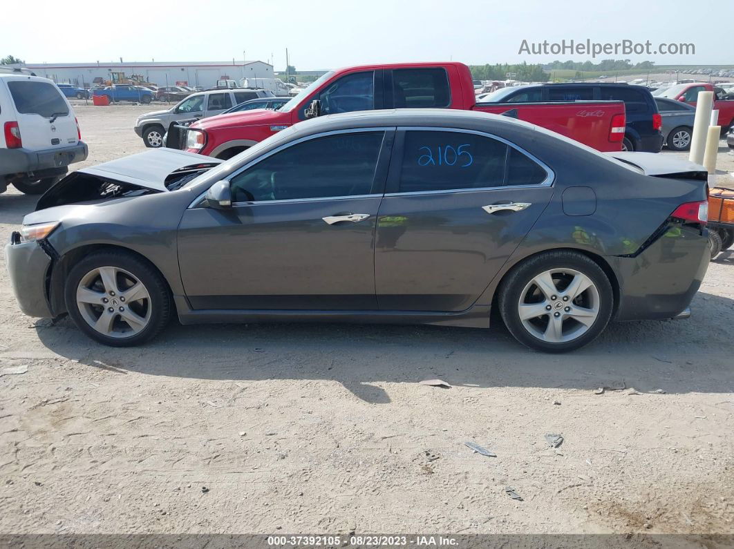 2010 Acura Tsx   Gray vin: JH4CU2F69AC022358