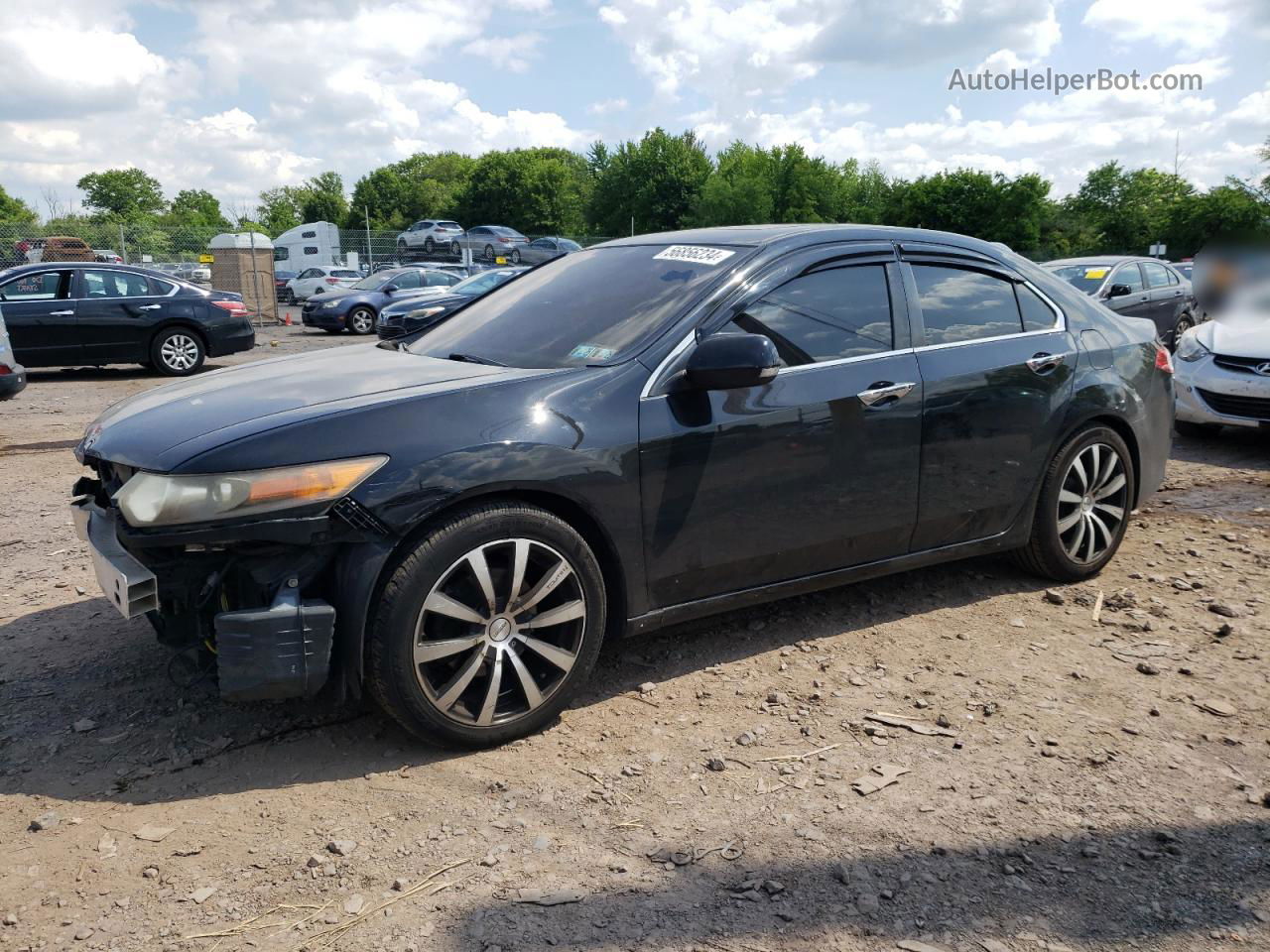 2010 Acura Tsx  Two Tone vin: JH4CU2F69AC032677