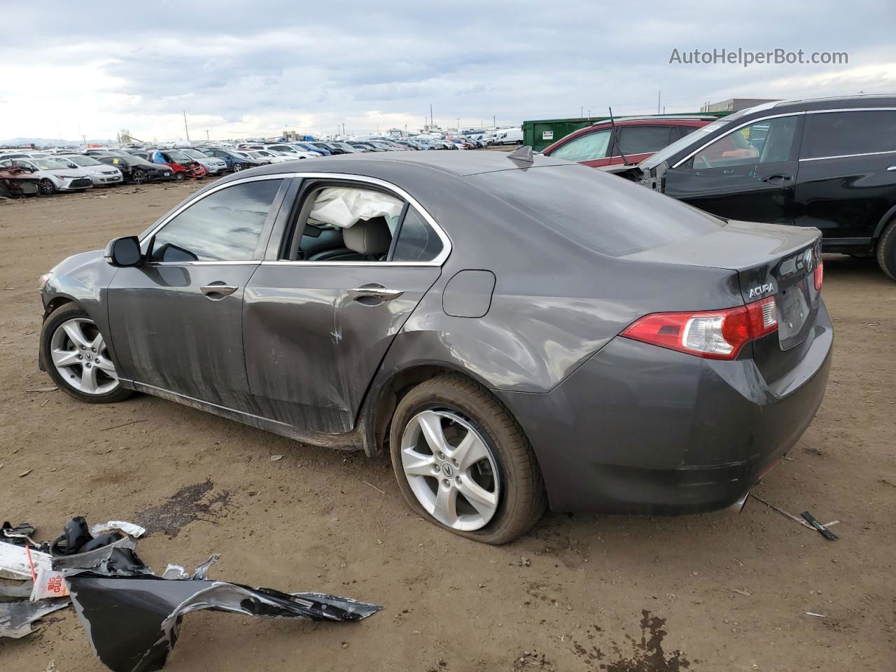 2010 Acura Tsx  Gray vin: JH4CU2F69AC034705