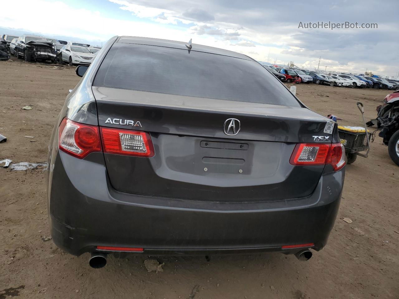 2010 Acura Tsx  Gray vin: JH4CU2F69AC034705