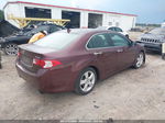 2010 Acura Tsx   Бордовый vin: JH4CU2F69AC043940