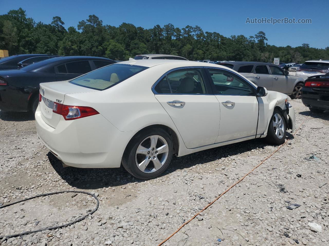 2010 Acura Tsx  Белый vin: JH4CU2F6XAC011854