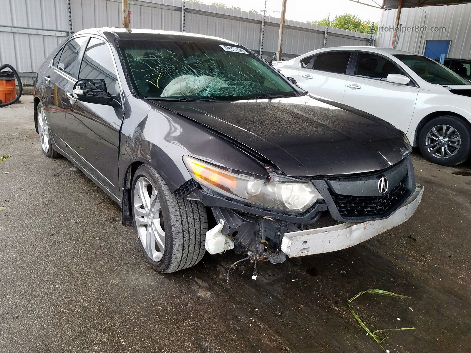 2010 Acura Tsx Серый vin: JH4CU4F43AC001550