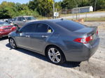 2010 Acura Tsx  Gray vin: JH4CU4F45AC002506