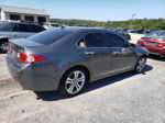 2010 Acura Tsx  Серый vin: JH4CU4F45AC002506