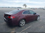 2010 Acura Tsx 3.5 Темно-бордовый vin: JH4CU4F69AC003031