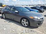 2010 Acura Tsx  Gray vin: JH4CU4F6XAC001434