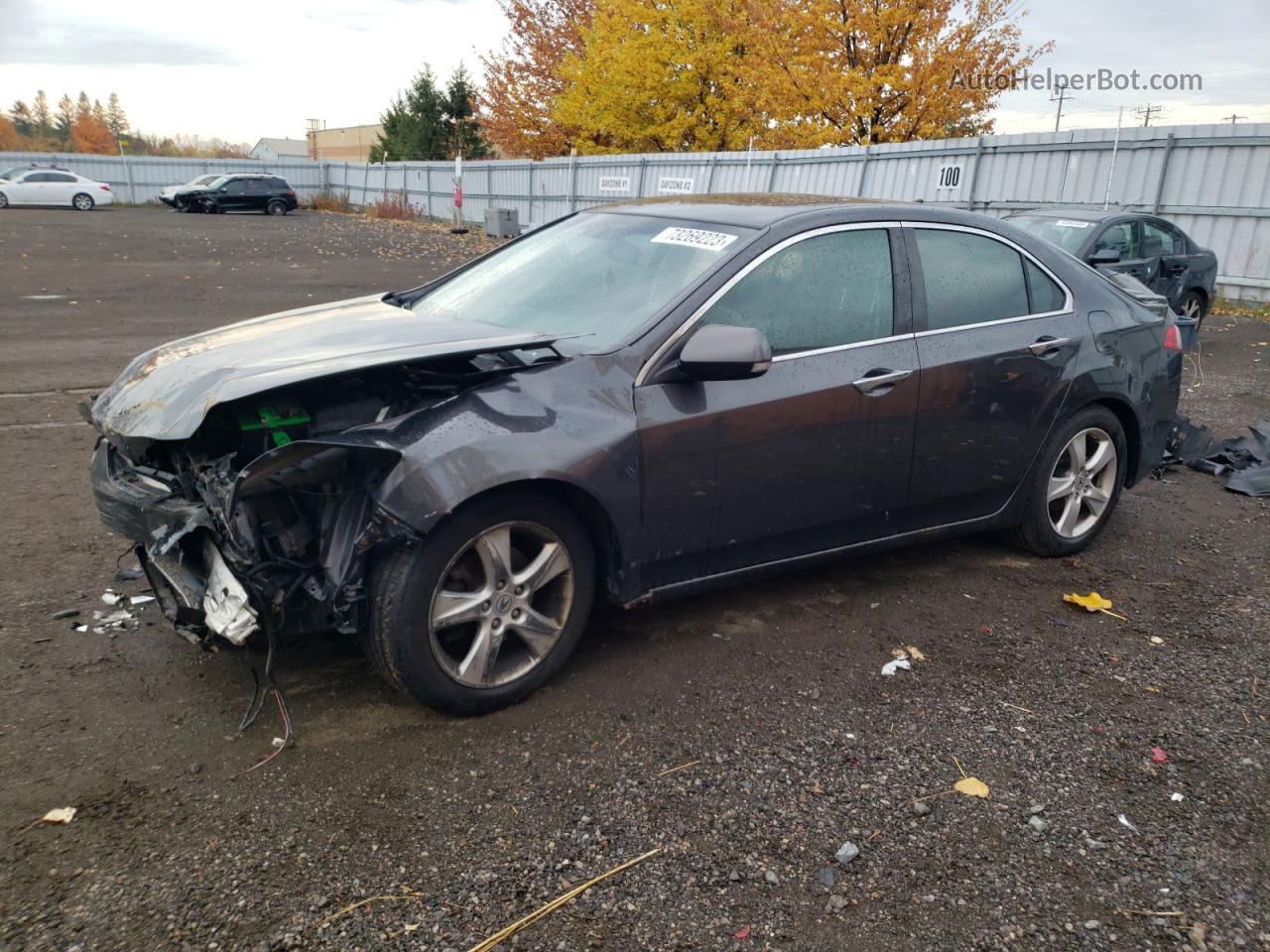 2010 Acura Tsx  Gray vin: JH4CU4F6XAC800369