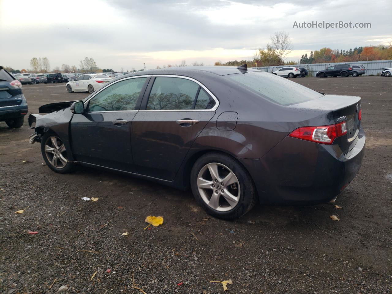 2010 Acura Tsx  Gray vin: JH4CU4F6XAC800369