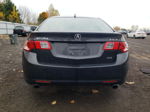 2010 Acura Tsx  Gray vin: JH4CU4F6XAC800369