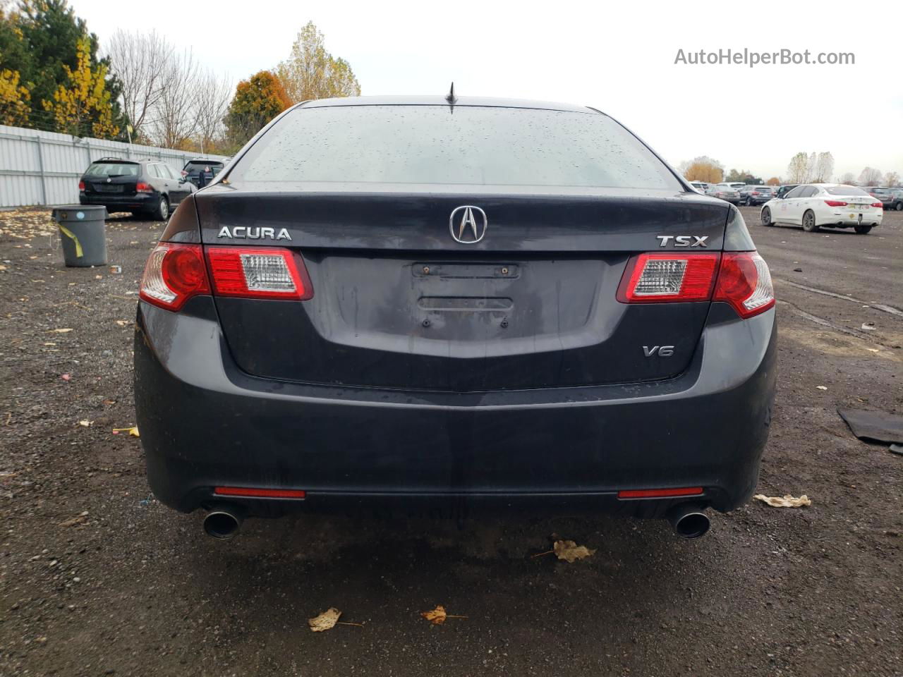 2010 Acura Tsx  Gray vin: JH4CU4F6XAC800369