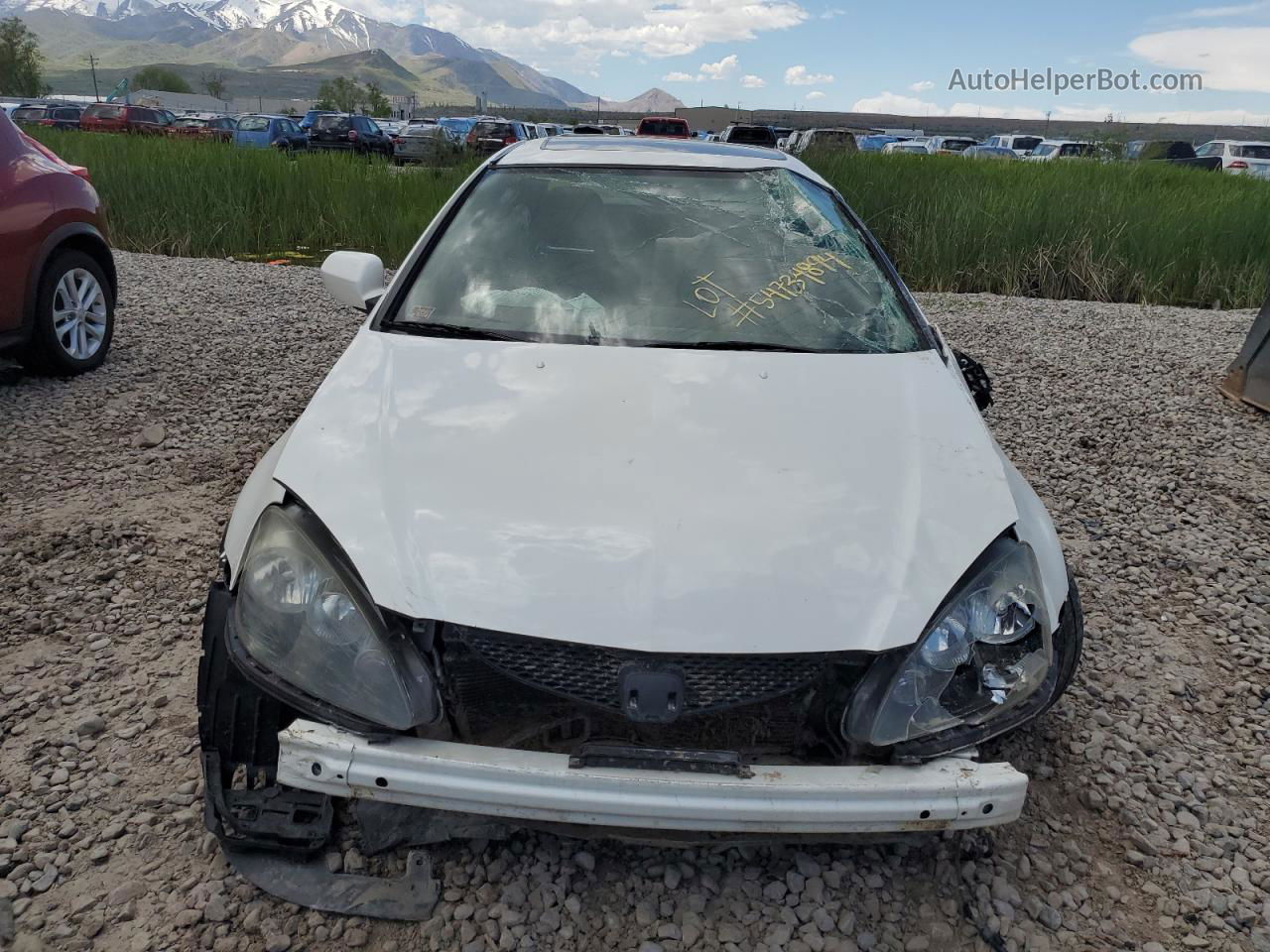 2006 Acura Rsx Type-s White vin: JH4DC53066S020895