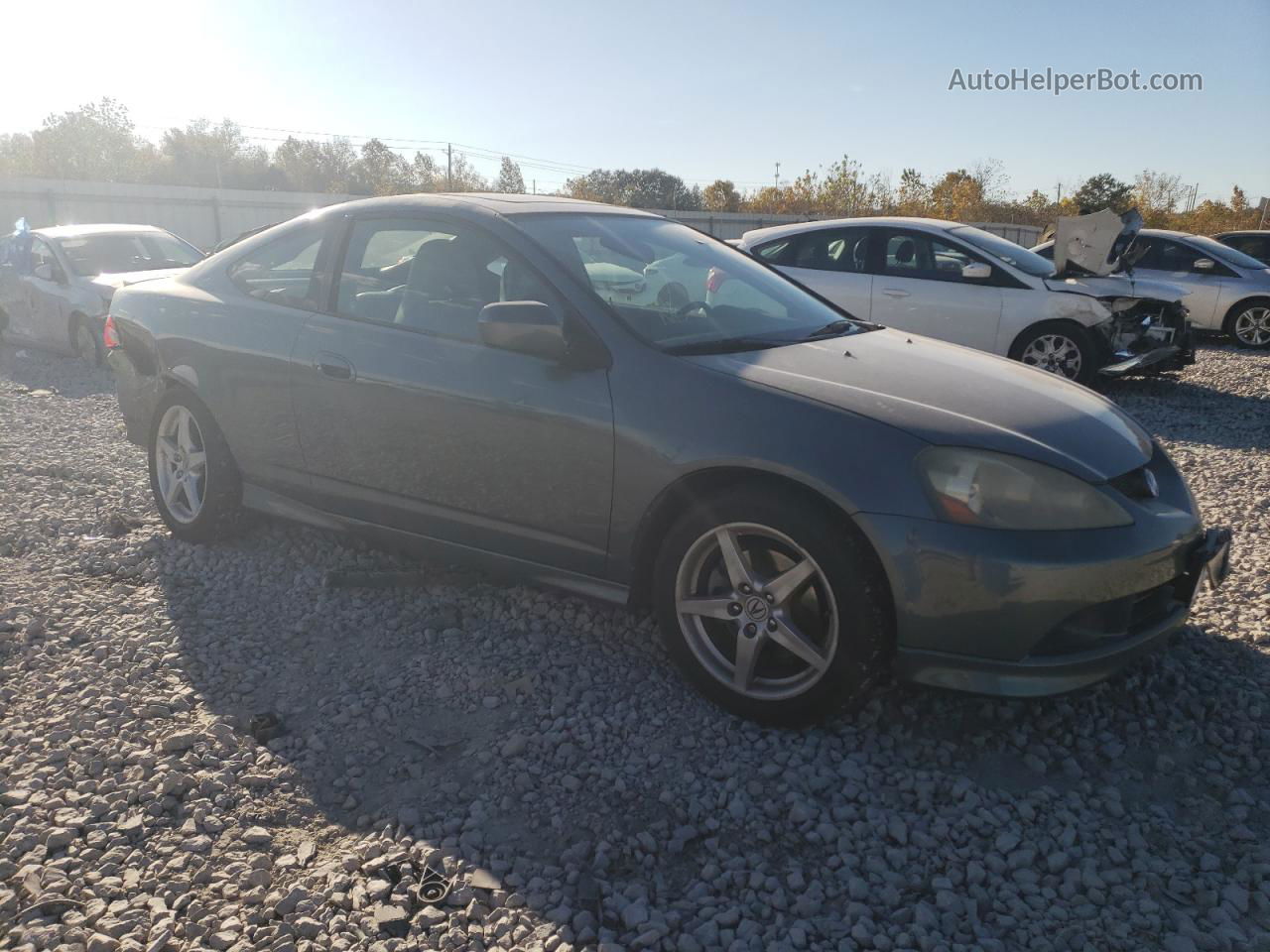 2006 Acura Rsx Type-s Gray vin: JH4DC53076S014295