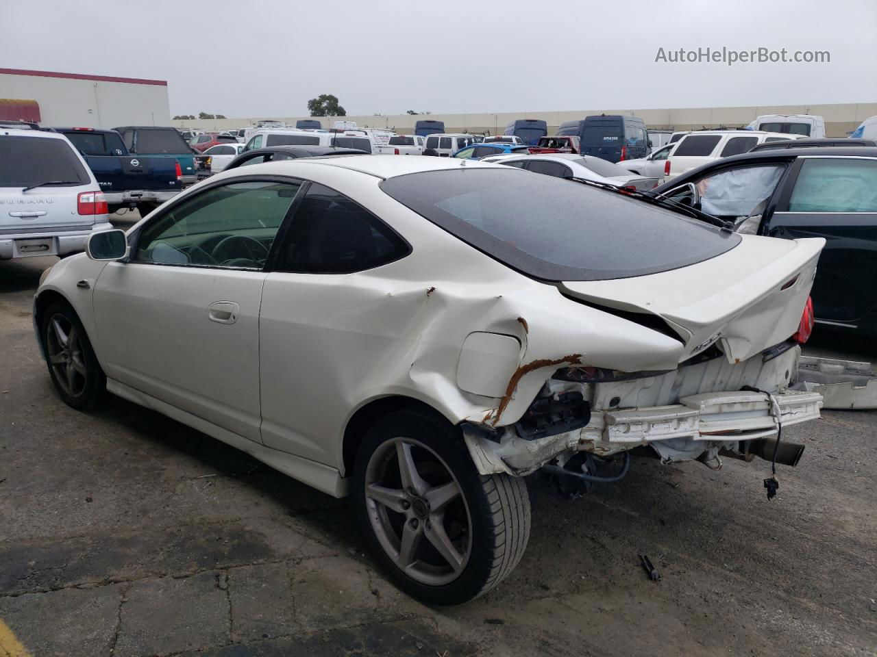 2006 Acura Rsx Type-s Белый vin: JH4DC53096S010720