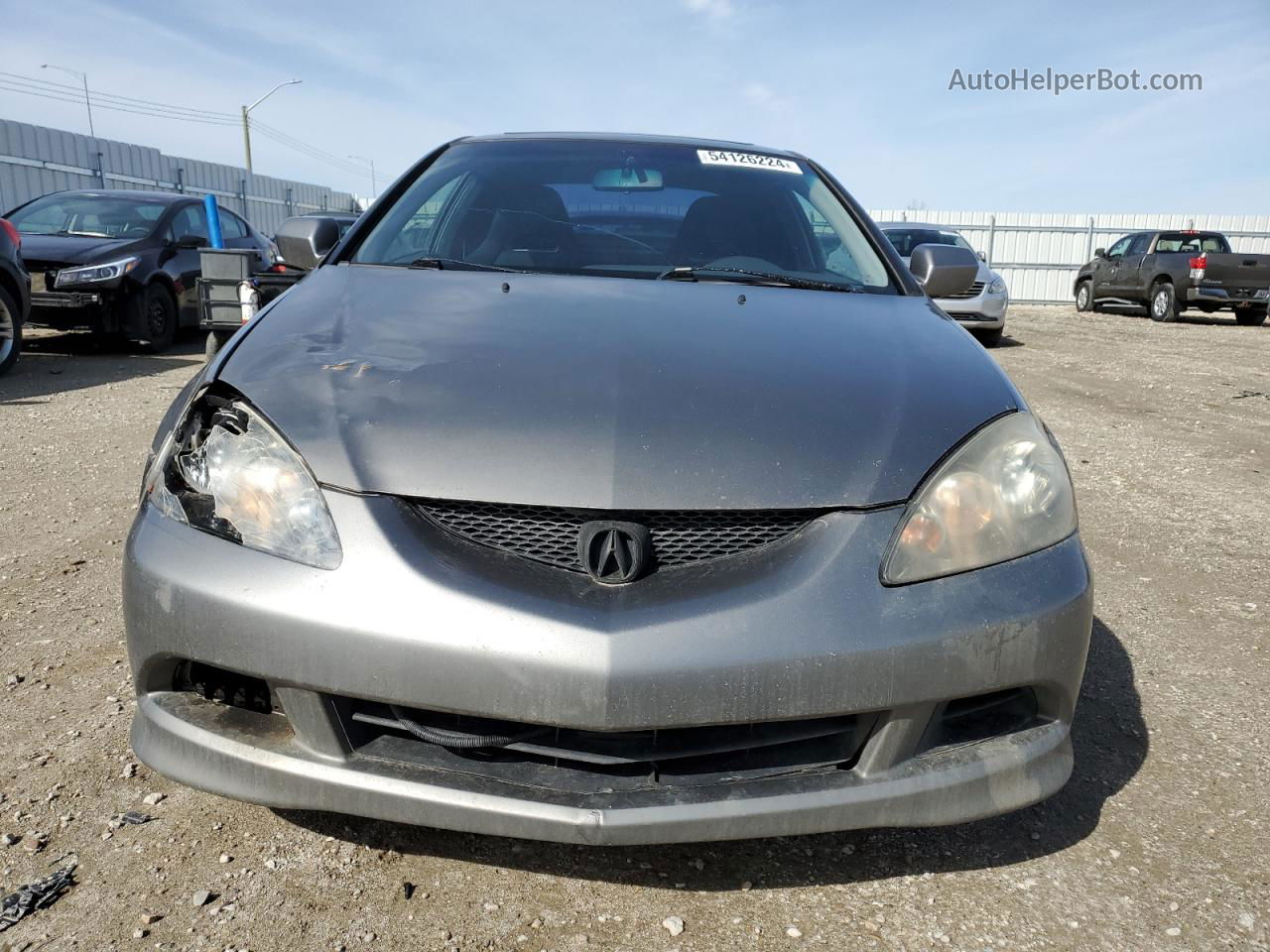 2006 Acura Rsx  Серый vin: JH4DC54816S800596