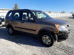 2004 Honda Cr-v Lx Tan vin: JHLRD68414C023588