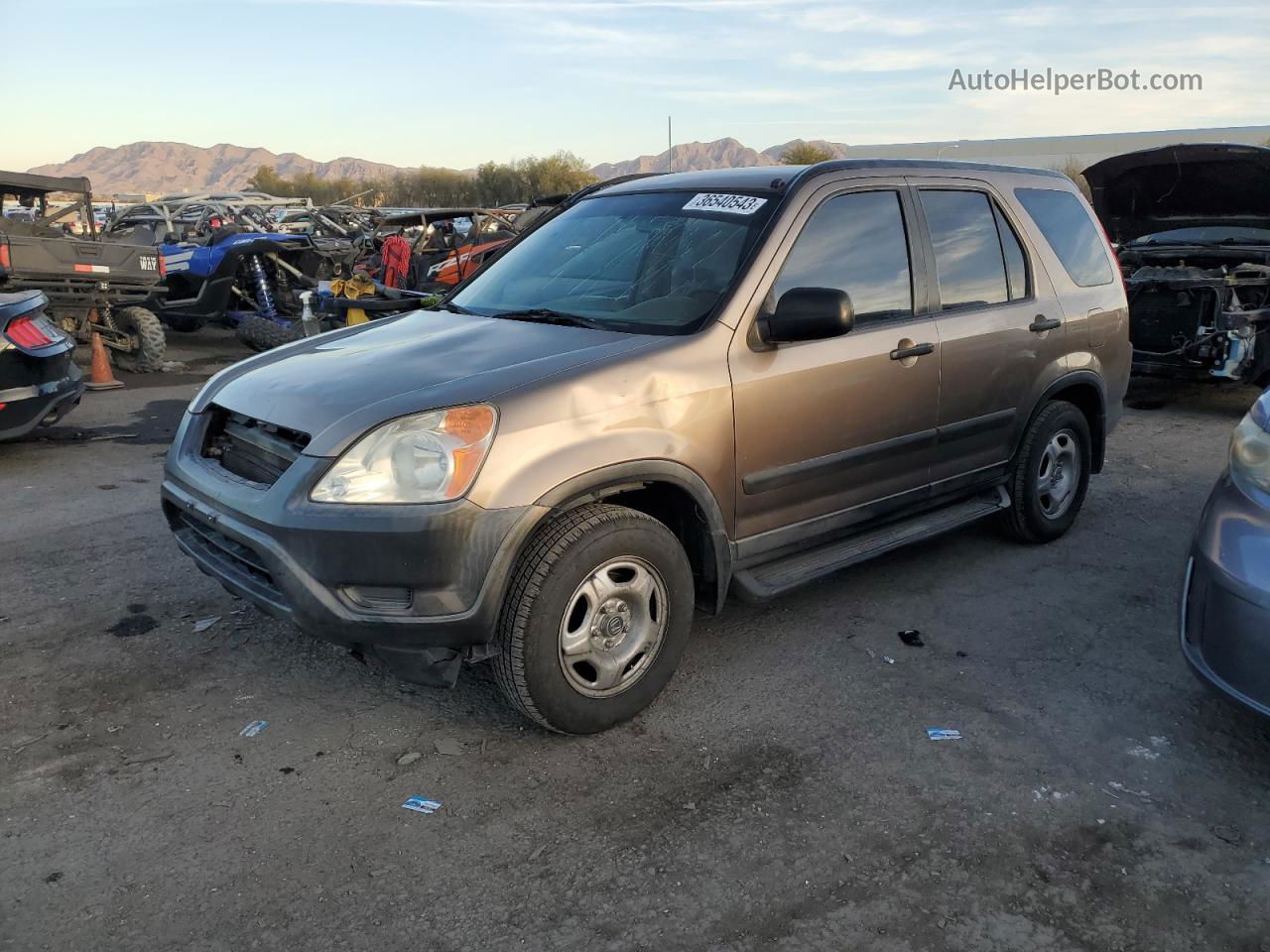 2004 Honda Cr-v Lx Коричневый vin: JHLRD68464C006950