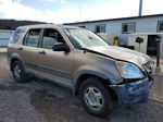 2004 Honda Cr-v Lx Tan vin: JHLRD68464C012859