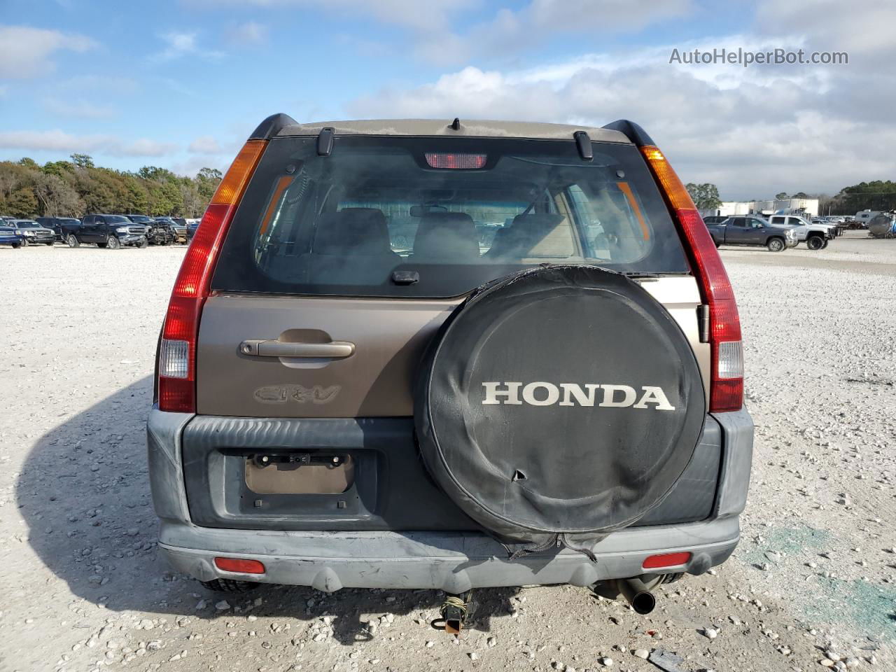 2004 Honda Cr-v Lx Tan vin: JHLRD68464C021934