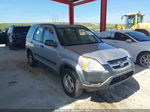 2004 Honda Cr-v Lx Silver vin: JHLRD68474C015799