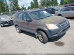 2004 Honda Cr-v Lx Brown vin: JHLRD68484C000955