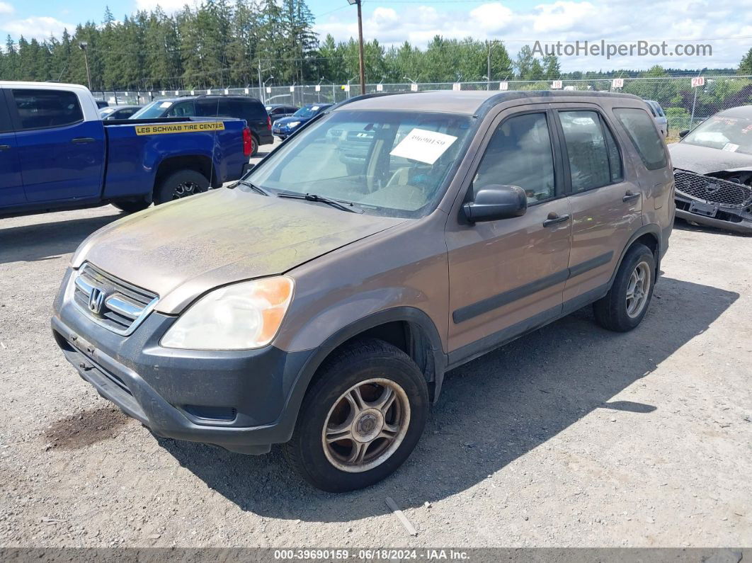 2004 Honda Cr-v Lx Brown vin: JHLRD68484C000955