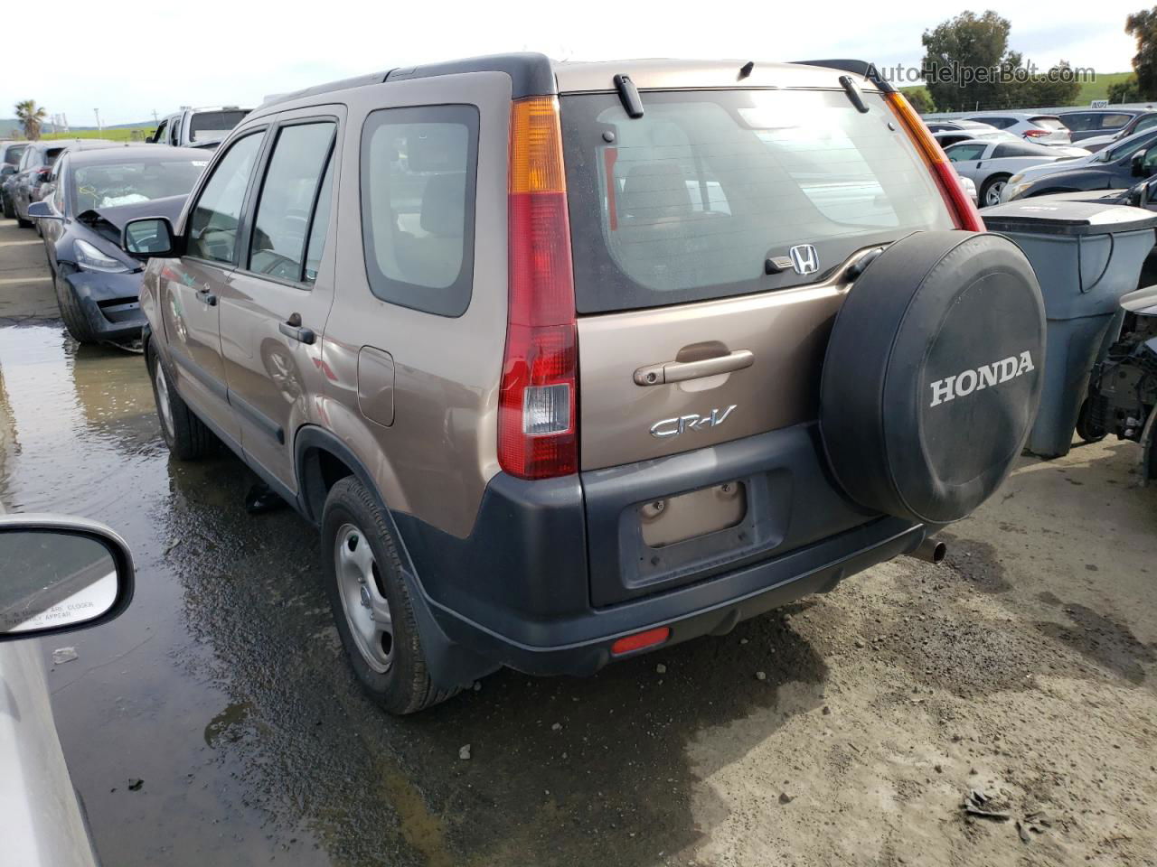 2004 Honda Cr-v Lx Brown vin: JHLRD684X4C012413