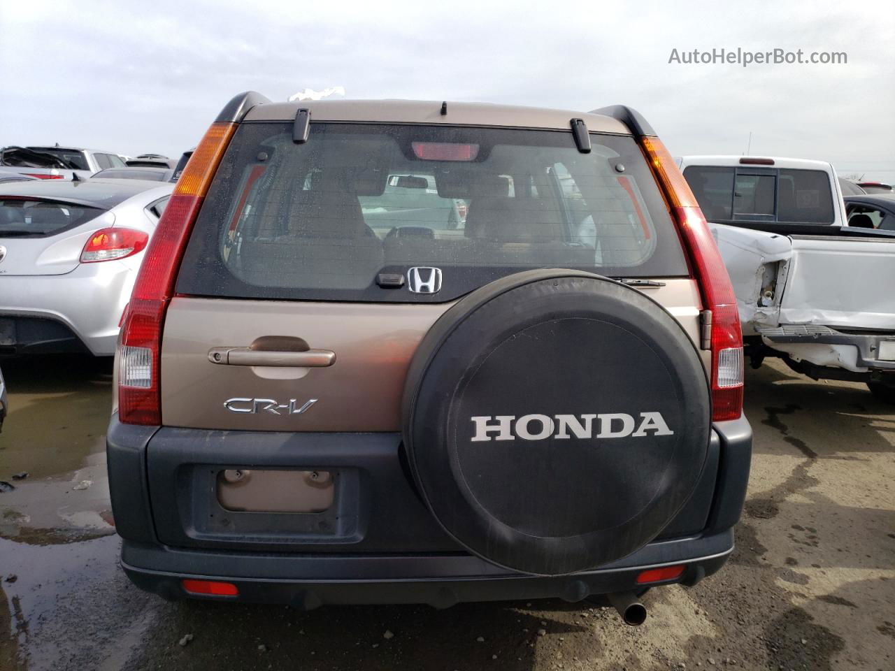 2004 Honda Cr-v Lx Brown vin: JHLRD684X4C012413