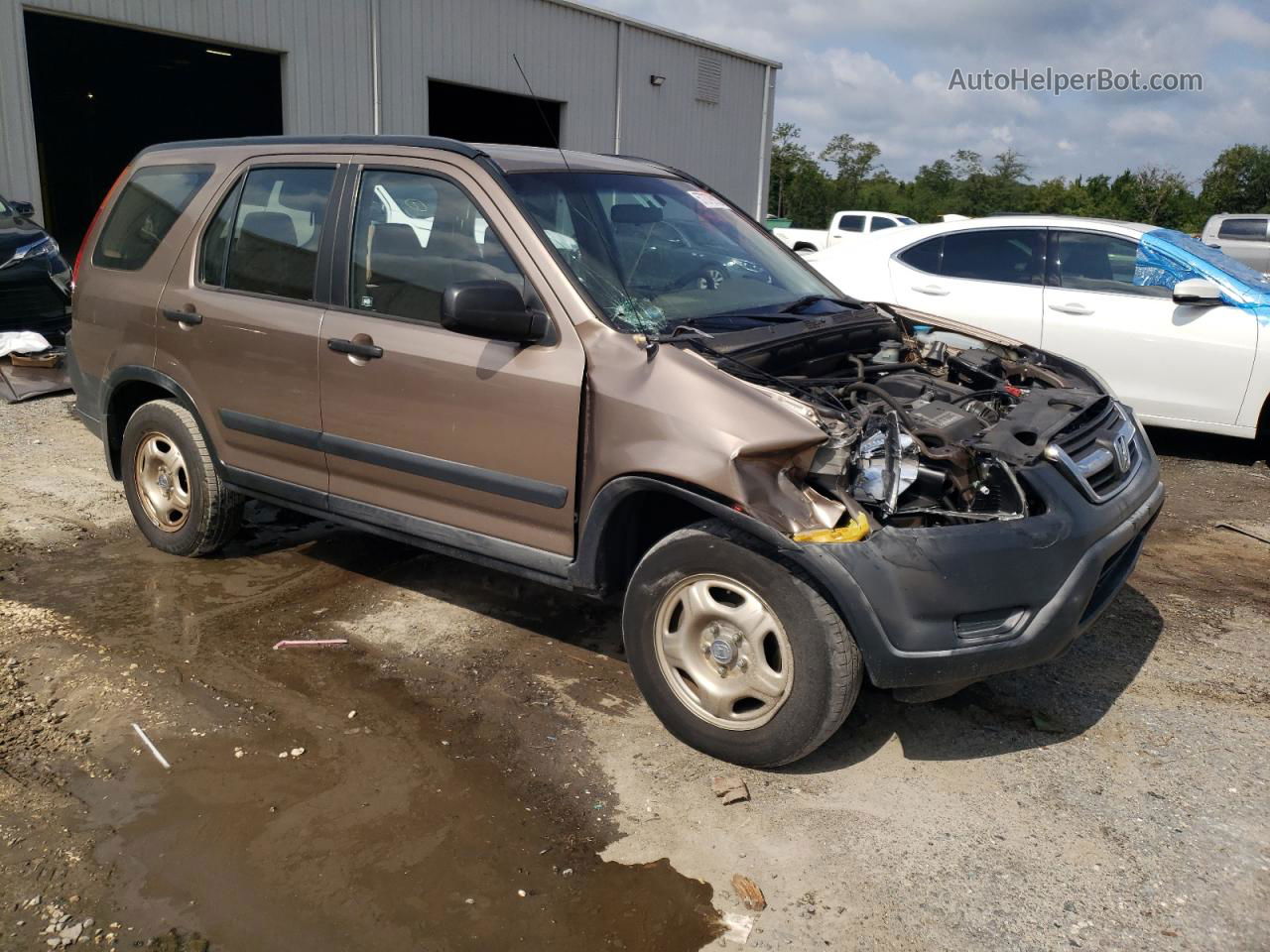 2004 Honda Cr-v Lx Tan vin: JHLRD68504C001106