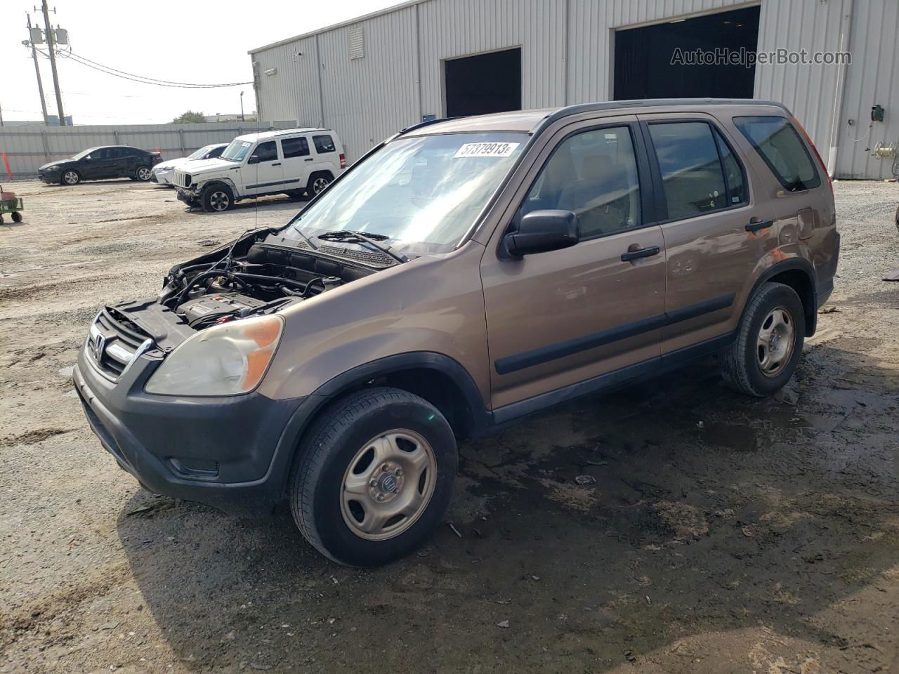 2004 Honda Cr-v Lx Tan vin: JHLRD68504C001106