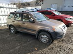 2004 Honda Cr-v Lx Brown vin: JHLRD77574C045630