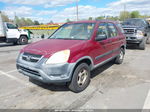 2004 Honda Cr-v Lx Red vin: JHLRD78404C029744