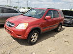 2004 Honda Cr-v Ex Red vin: JHLRD78814C030646