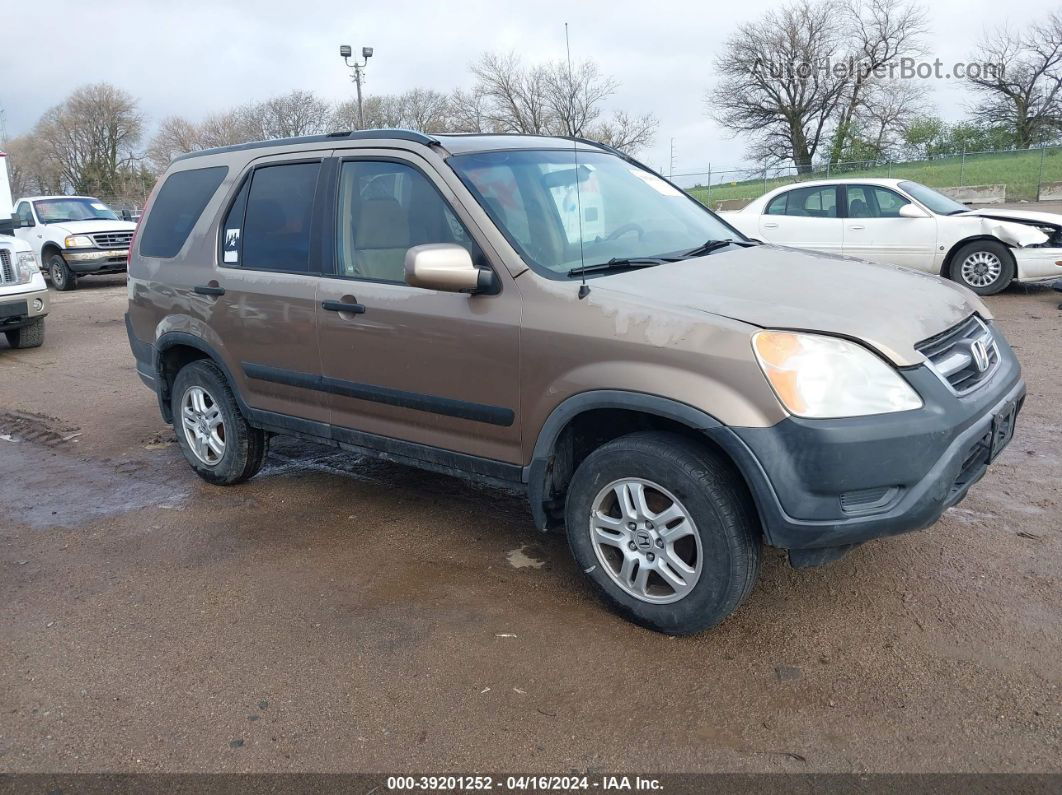 2004 Honda Cr-v Ex Brown vin: JHLRD78814C043395