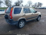 2004 Honda Cr-v Ex Brown vin: JHLRD78814C043395