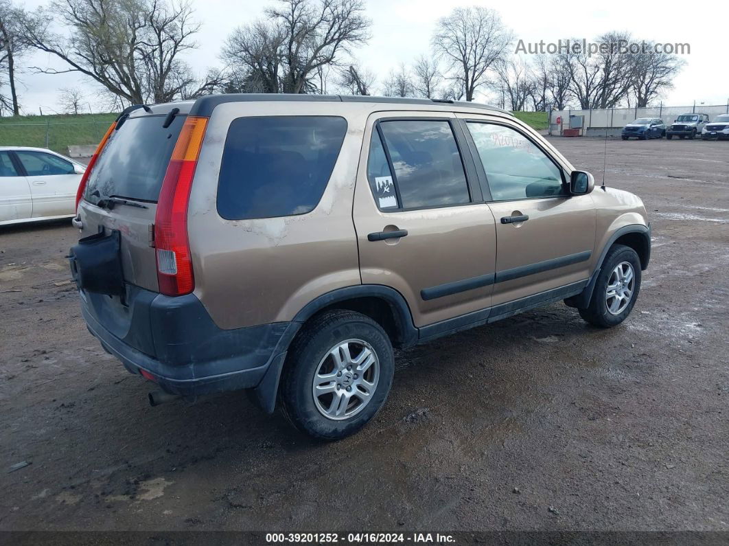 2004 Honda Cr-v Ex Brown vin: JHLRD78814C043395