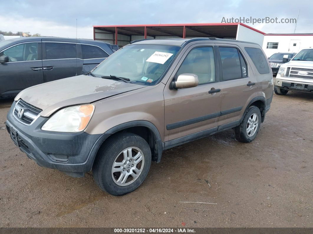 2004 Honda Cr-v Ex Brown vin: JHLRD78814C043395