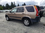 2004 Honda Cr-v Ex Коричневый vin: JHLRD78824C008882