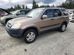 2004 Honda Cr-v Ex Коричневый vin: JHLRD78824C008882