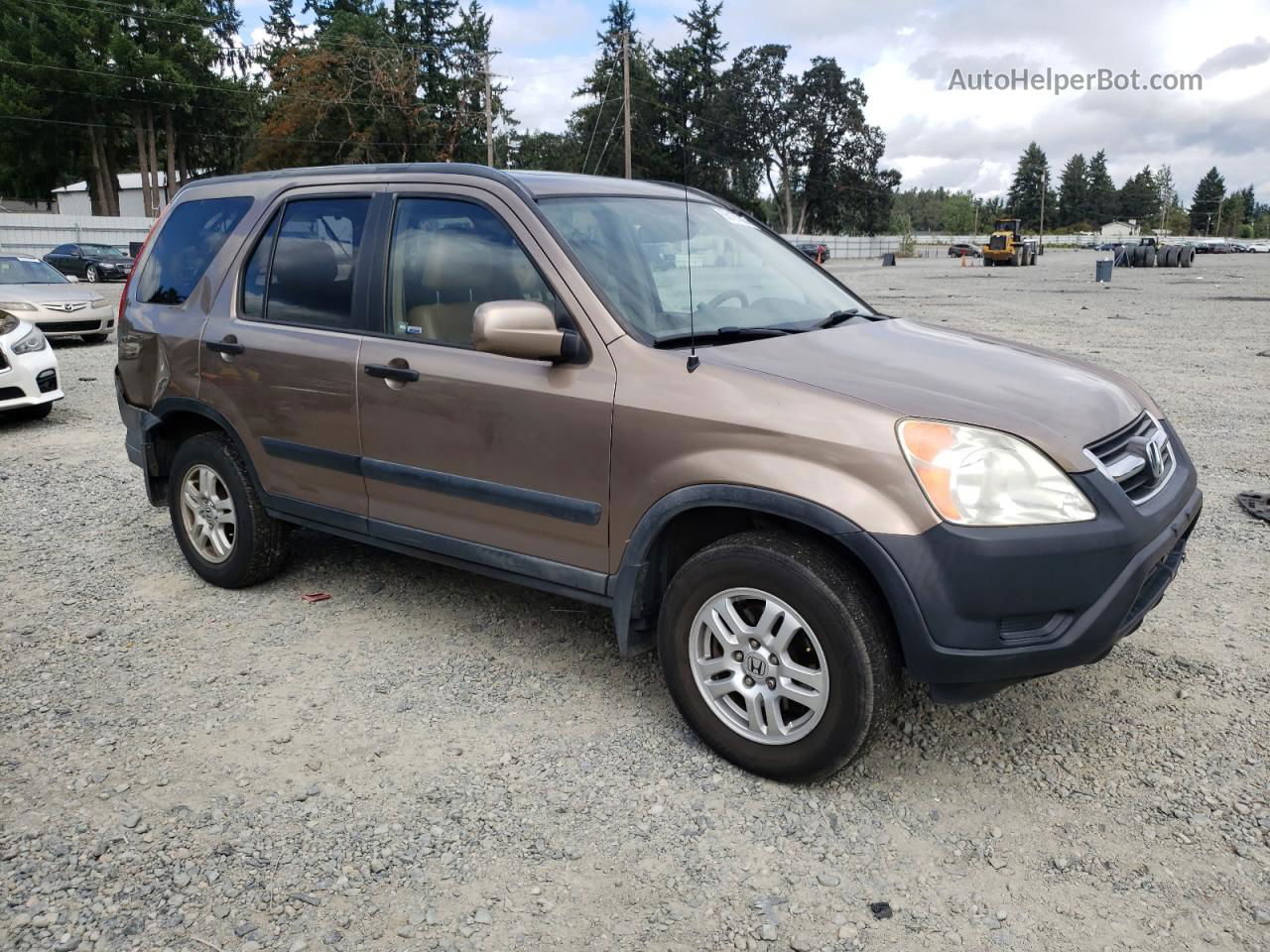 2004 Honda Cr-v Ex Коричневый vin: JHLRD78824C008882