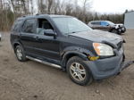 2004 Honda Cr-v Ex Black vin: JHLRD78834C812298