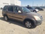 2004 Honda Cr-v Ex Tan vin: JHLRD78864C037379