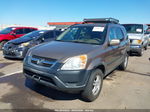 2004 Honda Cr-v Ex Tan vin: JHLRD78884C045886