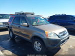 2004 Honda Cr-v Ex Tan vin: JHLRD78884C045886