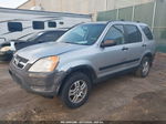 2004 Honda Cr-v Ex Silver vin: JHLRD78894C020155