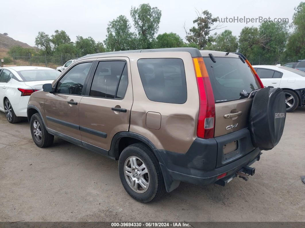 2004 Honda Cr-v Ex Brown vin: JHLRD788X4C020990