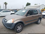 2004 Honda Cr-v Ex Brown vin: JHLRD788X4C020990