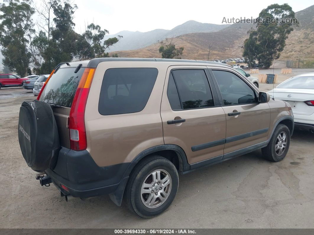 2004 Honda Cr-v Ex Brown vin: JHLRD788X4C020990