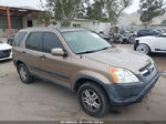 2004 Honda Cr-v Ex Brown vin: JHLRD788X4C020990